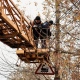 В Курске в Железнодорожном округе со столбов срезали незаконные провода