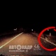 Под Курском из-за выбежавшей на дорогу собаки машина улетела в кювет