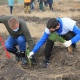 Рядом с онкоцентром в Курске высадили парк из 6500 деревьев