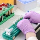 Половина пациентов курских больниц ждет подтверждения коронавируса