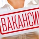 В Курской области более 13 тысяч вакансий