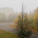 В Курской области ожидаются туман и дожди