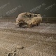 Под Курском в аварии двух УАЗов ранены три человека