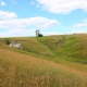 Новый памятник природы появился в Курской области