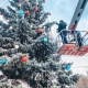В Курске установят 50 новогодних елей