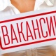 Работодатели Курской области разместили 13 222 вакансии