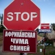 В Курской области в очагах АЧС готовую продукцию сожгут до зольного остатка