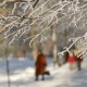В Курской области пройдет снег и похолодает до -9°С