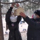 Курские школьники повесили в парках кормушки для птиц