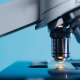 25% жителей Курской области заразились коронавирусом на работе