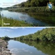 В Курской области в Сейм выпустили почти 130 тысяч мальков сазана