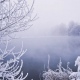 В Курскую область придут морозы до -15°С