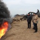 Под Курском продолжают сжигать тысячи свиней из-за АЧС