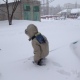 В Курской области ожидаются сильный снегопад, метель и гололедица