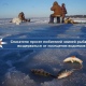 Курян просят соблюдать безопасность на льду