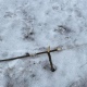 На улице Просторной в Курске срезали высаженные осенью деревья