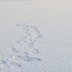 Курянин насмерть замерз возле дома