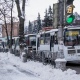 Мэр Курска: «В час пик по крышам ПАЗиков от Перекальского до Красной площади пробежать можно»