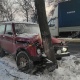 В Курске машина протаранила дерево