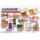 Торговая сеть «ЛИНИЯ»: продукты по низким ценам с доставкой