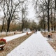 В Курске потеплело до нуля