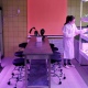 Школьники в Курске выращивают картофель и помидоры без почвы