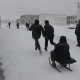 В курской колонии заключенные соревновались в метании снежков и катании на санках