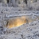 На выходных в Курской области ожидаются морозы до -29!