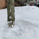 В центре Курска наркоманы не стесняясь ищут закладки