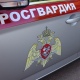 В Курске росгвардейцы задержали парня, находившегося в федеральном розыске