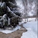 Экологи выявили причину стока фекальных вод в Ермошкино озеро в Курске