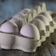 О повышении на 10% закупочных цен заявили производители яиц и мяса птицы
