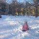 В Курской области потеплеет и пройдет небольшой снег