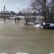 В поселке Прямицыно Курской области огороды заливает нечистотами
