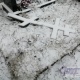 Под Курском сельсоветы через суд заставили привести в порядок кладбища