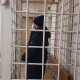 В Курске суд арестовал обвиняемого в убийствах криминальных авторитетов