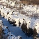 В Курской области за распаханную прибрежную полосу рядом с рекой оштрафовали предпринимателя