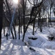 Пропавшую курскую пенсионерку нашли в 20 километрах от дома