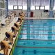 Курский пловец завоевал шесть наград на первенстве и чемпионате ЦФО