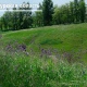 В Курской области создана охранная зона регионального памятника природы