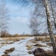 В Курской области ожидаются осадки, туман, гололед и до +7