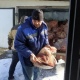 В Курской области уничтожили 878 килограммов небезопасной говядины