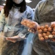 В Курске эксперты проверяют качество сосисок «Сливочные»