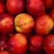 На границе Курской области выявили 20 тонн зараженных яблок из Молдовы