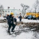 В Курске выявили 2 тысячи аварийных деревьев