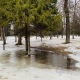 В Курской области подморозит до -7 градусов