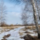 В Курской области ожидаются снег и температура от 6 мороза до 4 тепла