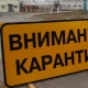Под Курском введен карантин из-за найденных у дороги останков свиньи с африканской чумой