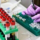 Коронавирусом за сутки заболели еще 79 жителей Курской области