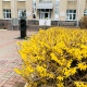 В Курской области ожидается потепление с дождями и грозами